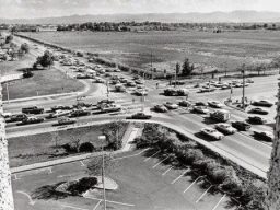Wadsworth & Alameda 1978
